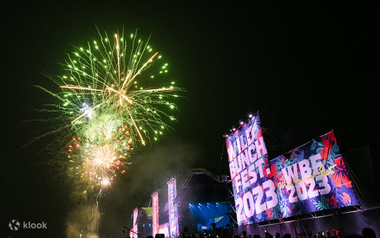 ワイルドバンチフェス2024 WILD BUNCH FEST. 2024」出演決定！ | サバシスター's ホームページ