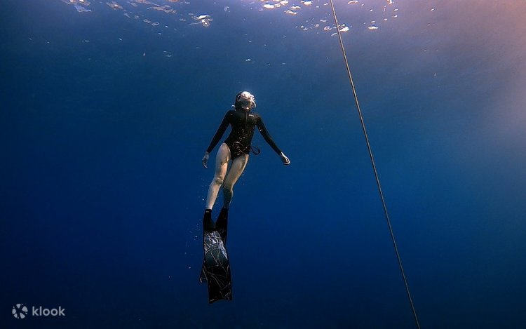 PADI ダイビング教材 ガイドトゥーティーチング 楽天市場】 PADI 各種教材 > インストラクター : ダイビング専門