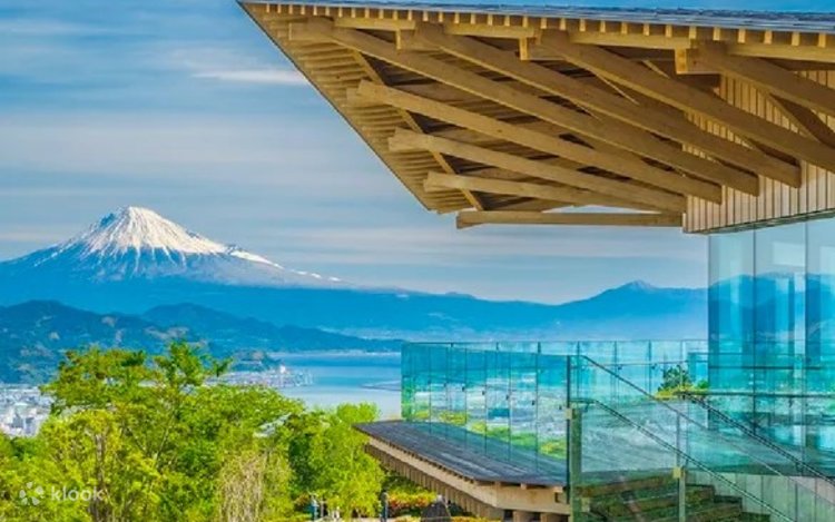 Nihondaira Ropeway and Strawberry Picking 1 Day Bus Tour from