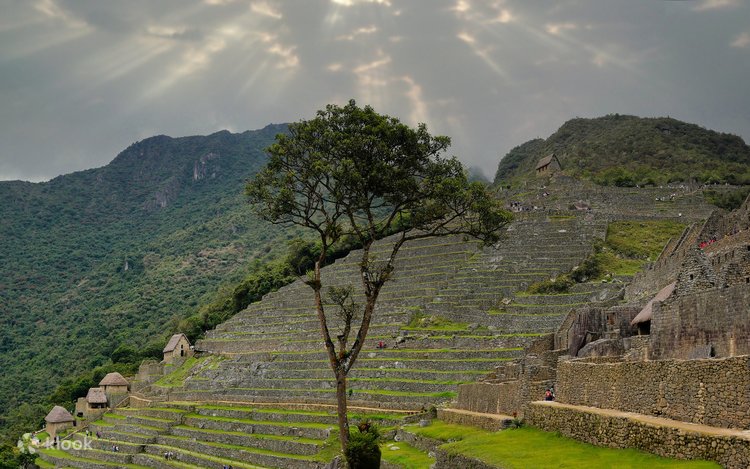 マチュ•ピチュの高み 2024/05最新】マチュピチュ遺跡の各サーキット解説！新