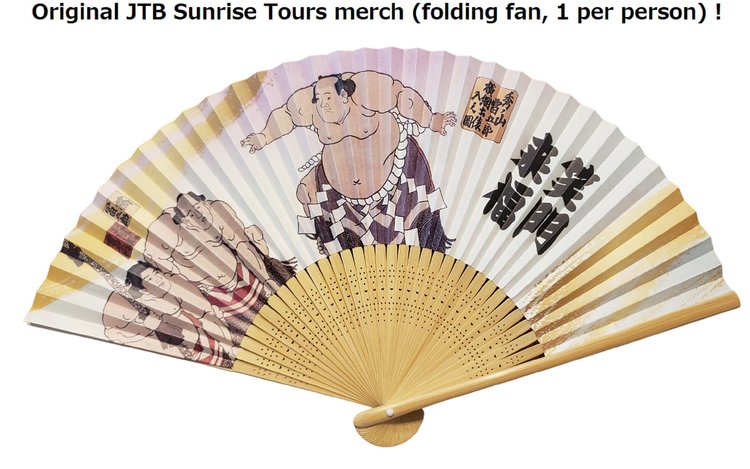 Nagoya Grand Sumo Tournament Viewing Tour with Tickets - Klook