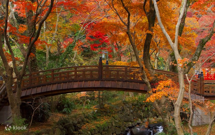 伊豆・熱海：聖地修善寺温泉紅葉狩り 日帰りツアー（東京・新宿