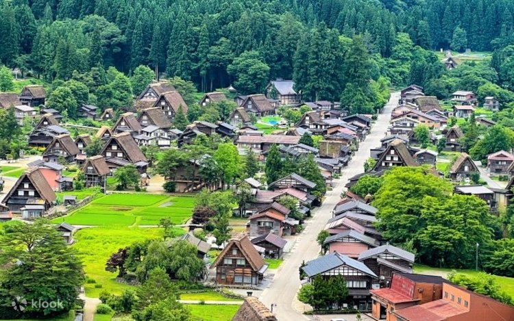 名古屋発 世界遺産白川郷と飛騨高山日帰りバスツアー | Klook