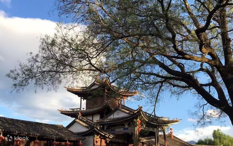 雲南を巡る6日間の旅 | Klook