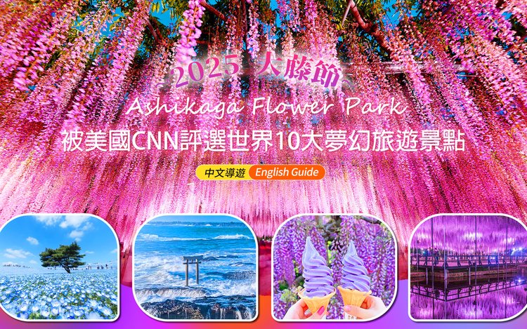 【希少品】PAURA PRYKE’S FLOWER SCHOOL Paula Pryke's Flower School: Mastering the Art of Floral
