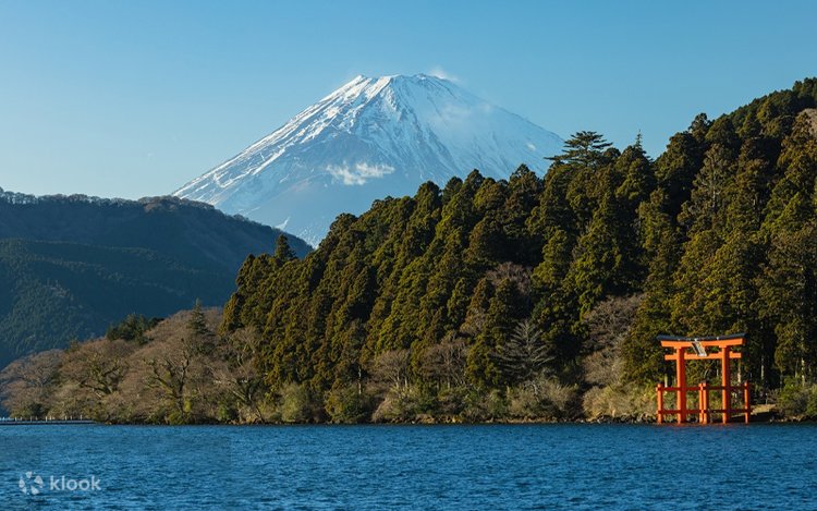 Mount Fuji, Hakone, Kawaguchiko, and Flower Viewing] 7-11