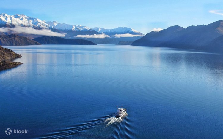Wanaka Stevensons Island Half-Day Small Group Nature Tour - Klook