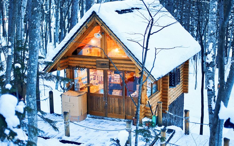 Winter Hokkaido | Asahiyama Zoo & Shikisai-no-oka & Blue Pond