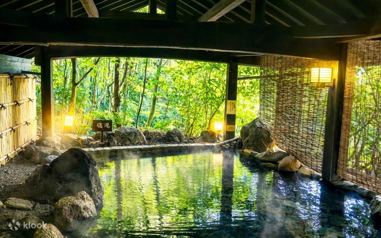 One-Day Kyushu Kumamoto Tour | Kamishikimi Kumanoza Shrine & Mount