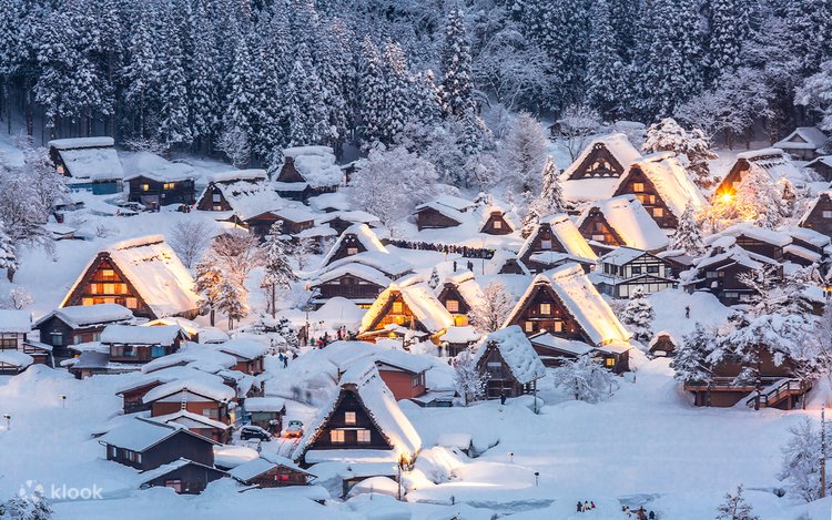 2025冬限定 | 世界遺産高山白川郷ライトアップ日帰りツアー（少