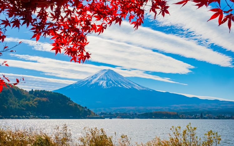 Suntory Whisky Museum & Forest Distillery Day Trip | Mt. Fuji New