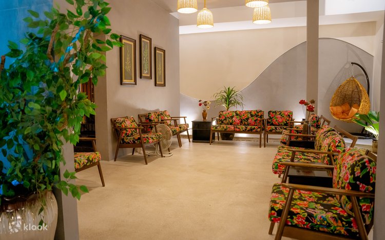 Kokrak bilan yuzida mushuk