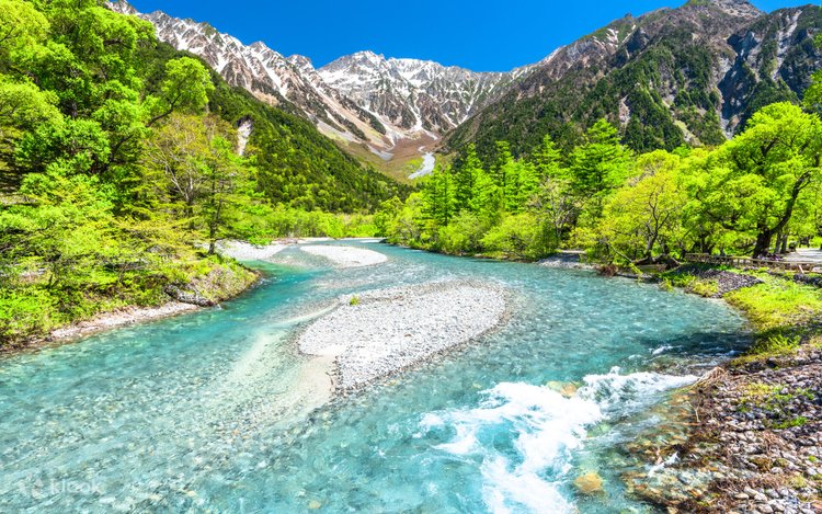 【短パン】ALPINE、VISIT Alpine Route & Toyama - Snow Monkey Resorts