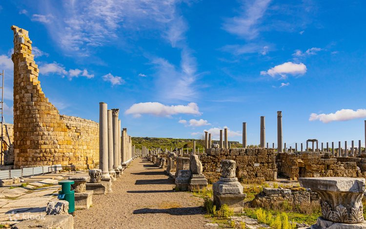 Секс поп-дик