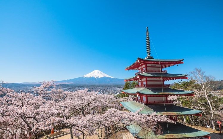 河口湖の富士と満開の桜 河口湖の富士と満開の桜 河口湖の富士と満開の桜 河口湖の