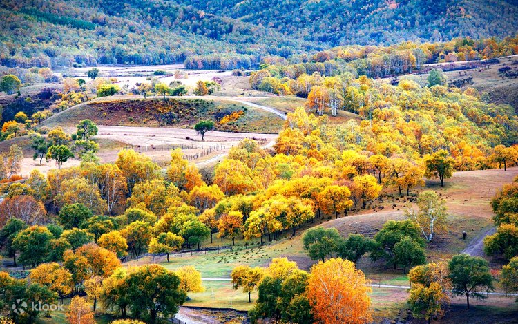 Tiz chokib otirib, Dik sorish