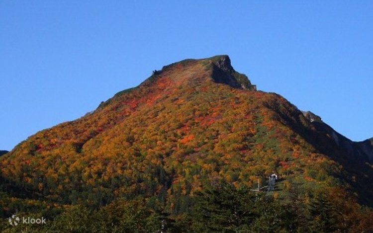 Sapporo Daisetsuzan Sounkyo & Nukabira Onsen 2-Day Autumn Leaves