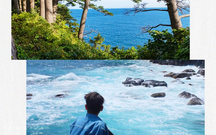 Summer Recommendation] One-Day Tour of Mount Omuro, Izu | Stunning