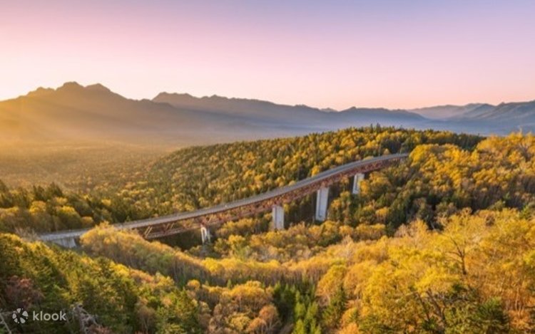 Autumn Only] Hokkaido 2-Day Tour｜10 Beautiful Scenic Spots