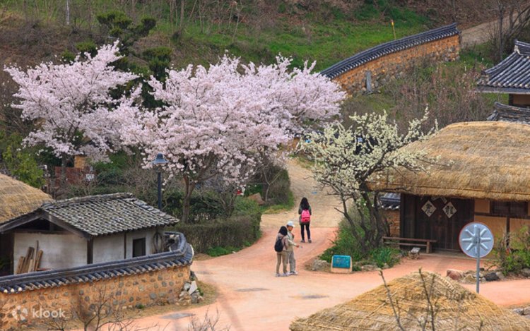 Onanizm bilan shugullanadigan yosh qizlarning onlayn pornosini tomosha qiling