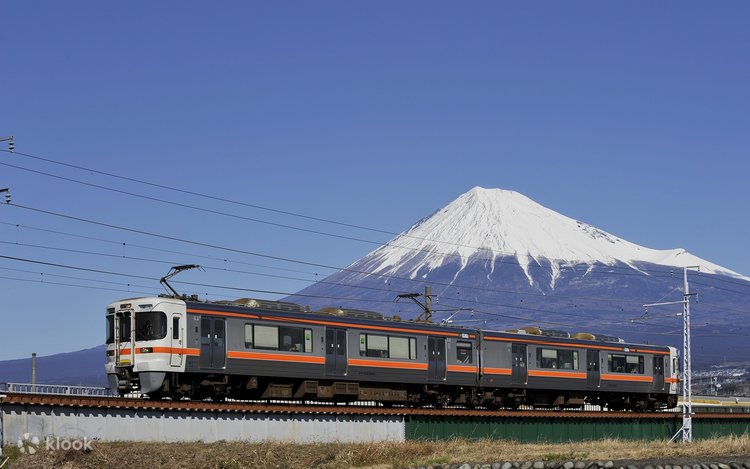 富士急 Mt. Fuji & Shizuoka Wasabi Farm Tour with Hokusai Train