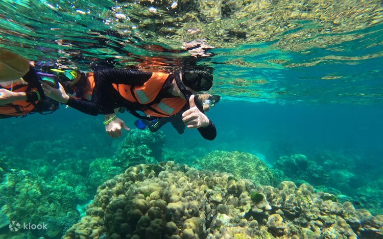 Irina Shmeleva yalangoch fotosuratlar