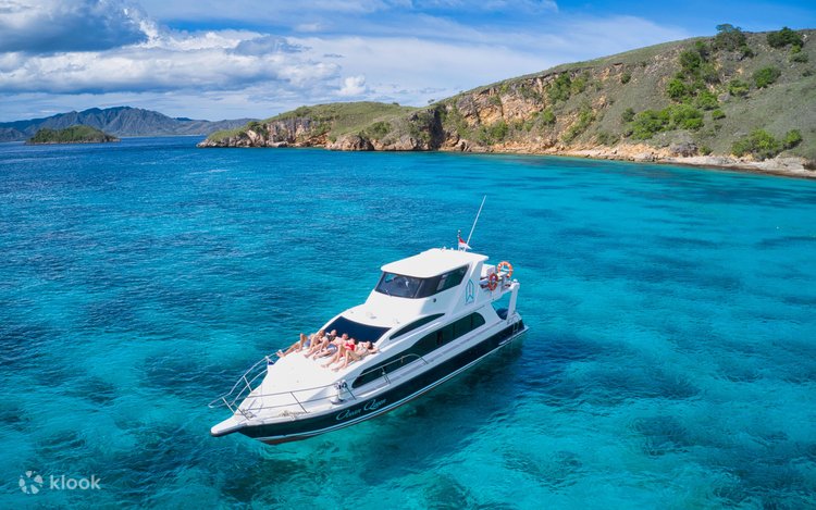 コモド スピードボート利用半日ツアー（ラブアンバジョ発） | Klook