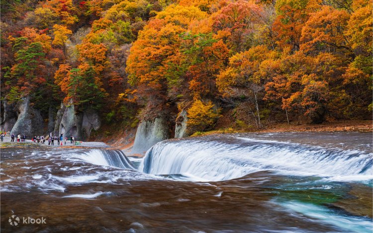 2179様感謝‼️秋‼️JAPAN螺鈿蒔絵『蜻蛉かげろう＆秋草＆木蓮』所有飯山氏5客 Katsukawa Shunkō - The Fifth Ichikawa Danjuro as a Samurai