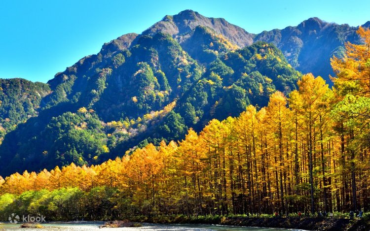 【短パン】ALPINE、VISIT 遮熱UVカットミニヘリンボンショートパンツ TR-1P1155SP｜Alpen