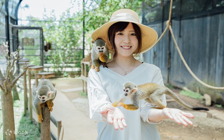 ぬいぐるみ　カピバラ　大サイズ　美らヤシパークオキナワ　東南植物楽園 ぬいぐるみ カピバラ 大サイズ 美らヤシパークオキナワ 東南植物