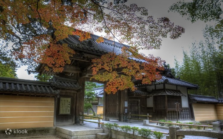 京都 二条城＆京都御所 少人数グループウォーキングツアー | Klook