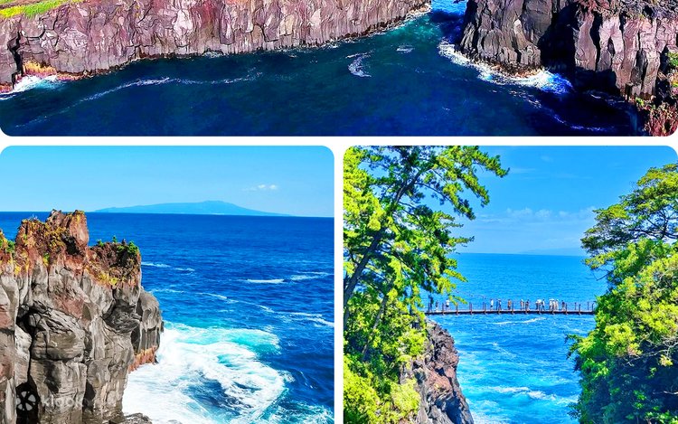 Izu Sea View Train Experience - Mount Omuro Jogasaki Coast