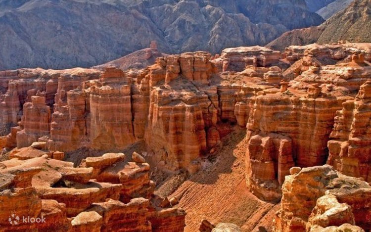 Үлкен маймылдар мен әйелдер арасындағы жыныстық қатынас