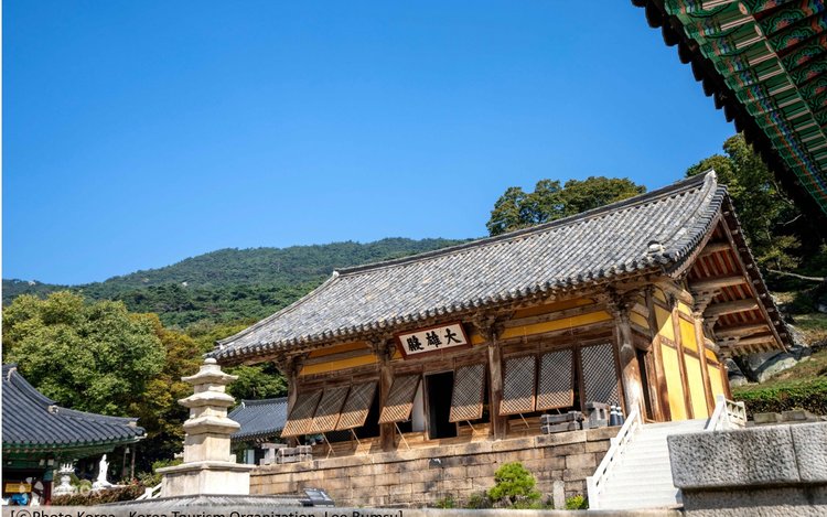 保寧マッドフェスティバル、大川海水浴場、修徳寺ツアー - Klook