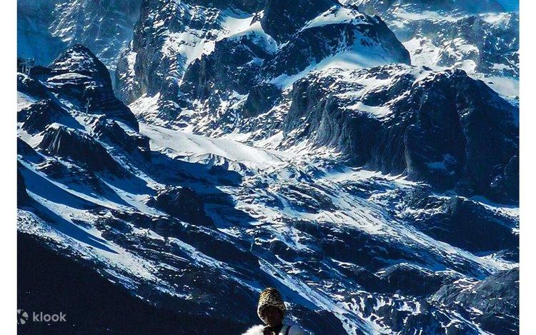 One-Day Round Trip to Jade Dragon Snow Mountain by Cable Car in