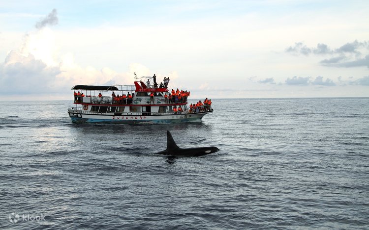 Жалаңаш Римма Раймонд