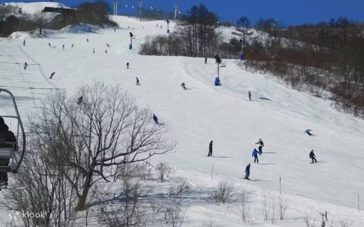 白馬八方尾根スキー場 リフト券（長野） | Klook