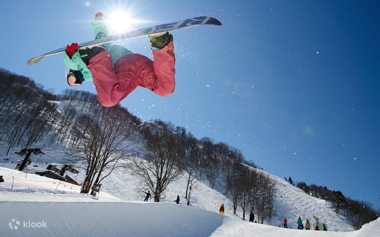 エイブル　五竜　Hakuba 47 リフト券 リフト券 | Hakuba47 Winter Sports Park