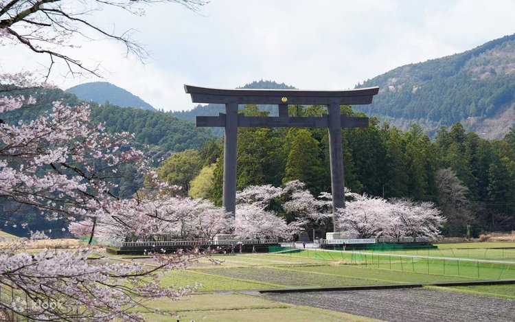 Kumano Kodo & Kumano Sanzan Full-Day Pilgrimage Tour - Klook