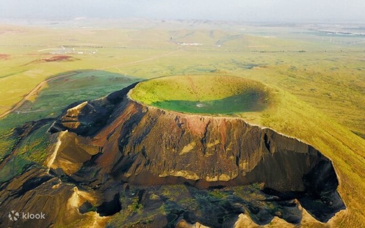 Xitoyda yalangoch jojalar Xitoyda yalangoch jojalar