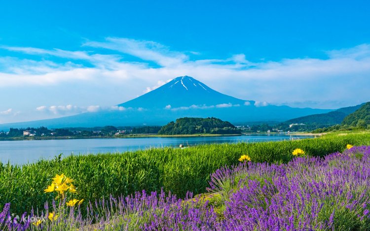 Mt. Fuji view & Suntory Hakushu Distillery Whisky Museum - Klook