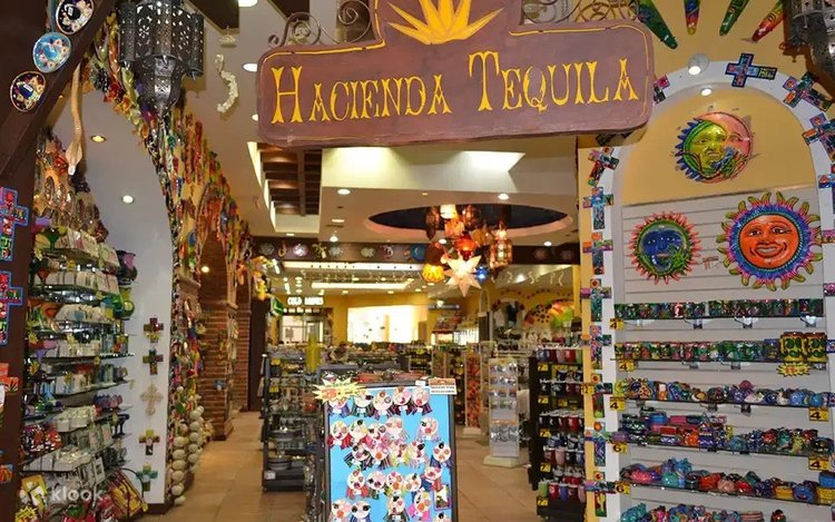 A Taste of Los Cabos Half-Day Tour Klook Philippines