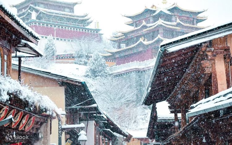 雲南省シャングリラ・徳欽1泊2日（「小ポタラ宮」松山林寺＋ナパ湖＋