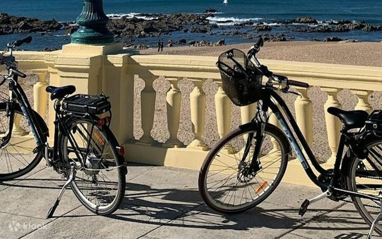 Bike rental with optional e-Bike upgrade experience in Porto Klook New  Zealand