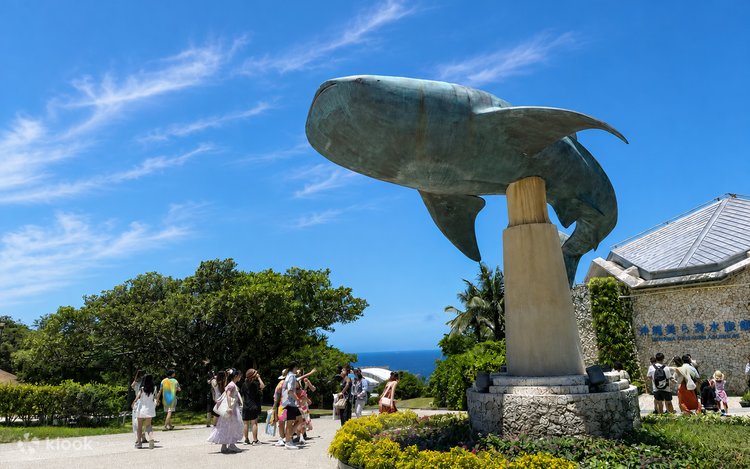 Okinawa Churaumi Aquarium & Kouri Shrimp Full-Day Tour - Klook