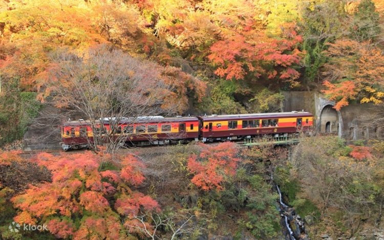 わたらせ渓谷鐵道＆高津戸峡＆あしかがフラワーパークイルミネーション
