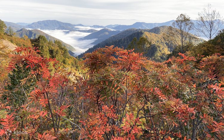 金沢発 白山白川郷ホワイトロード＆白川郷観光 | Klook