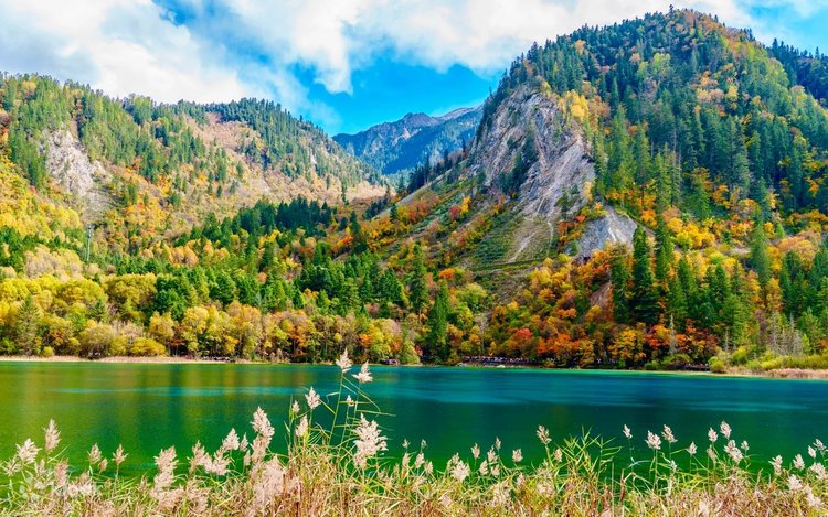 ※yujigokigen　MOUNTAIN RYTHYM　トゥンバ HIGHEST MOUNTAIN 2007_MIGHTY JAM ROCK (JUMBO MAATCH, TAKAFIN