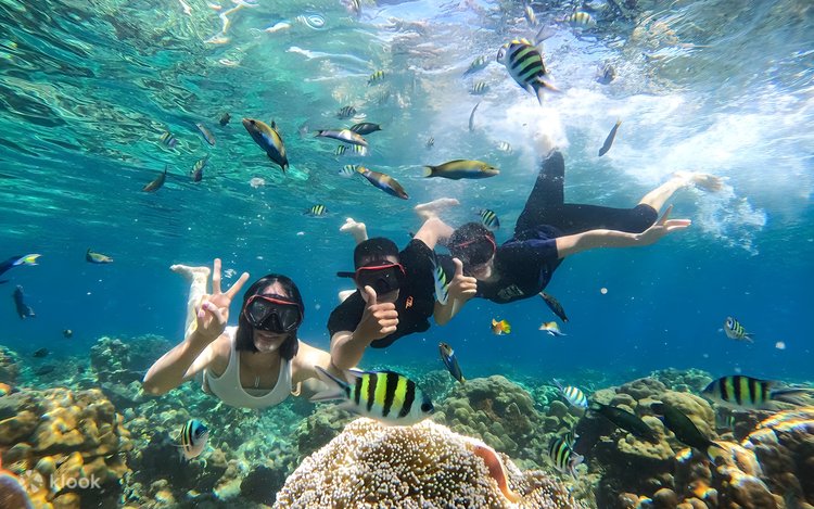 ロンボク発 ギリ・アイル島ホッピングツアー - Klook