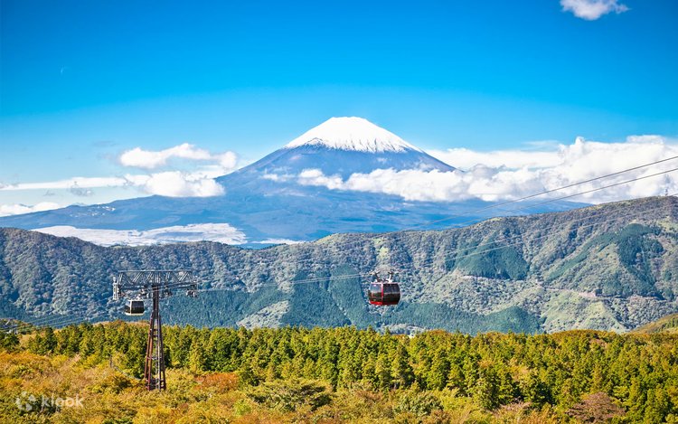 Mount Fuji & Hakone Ashi Lake Amphibious Ninja Bus/Pirate Ship
